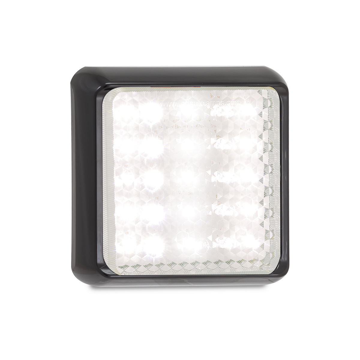 Reversing Lamps 100WM
