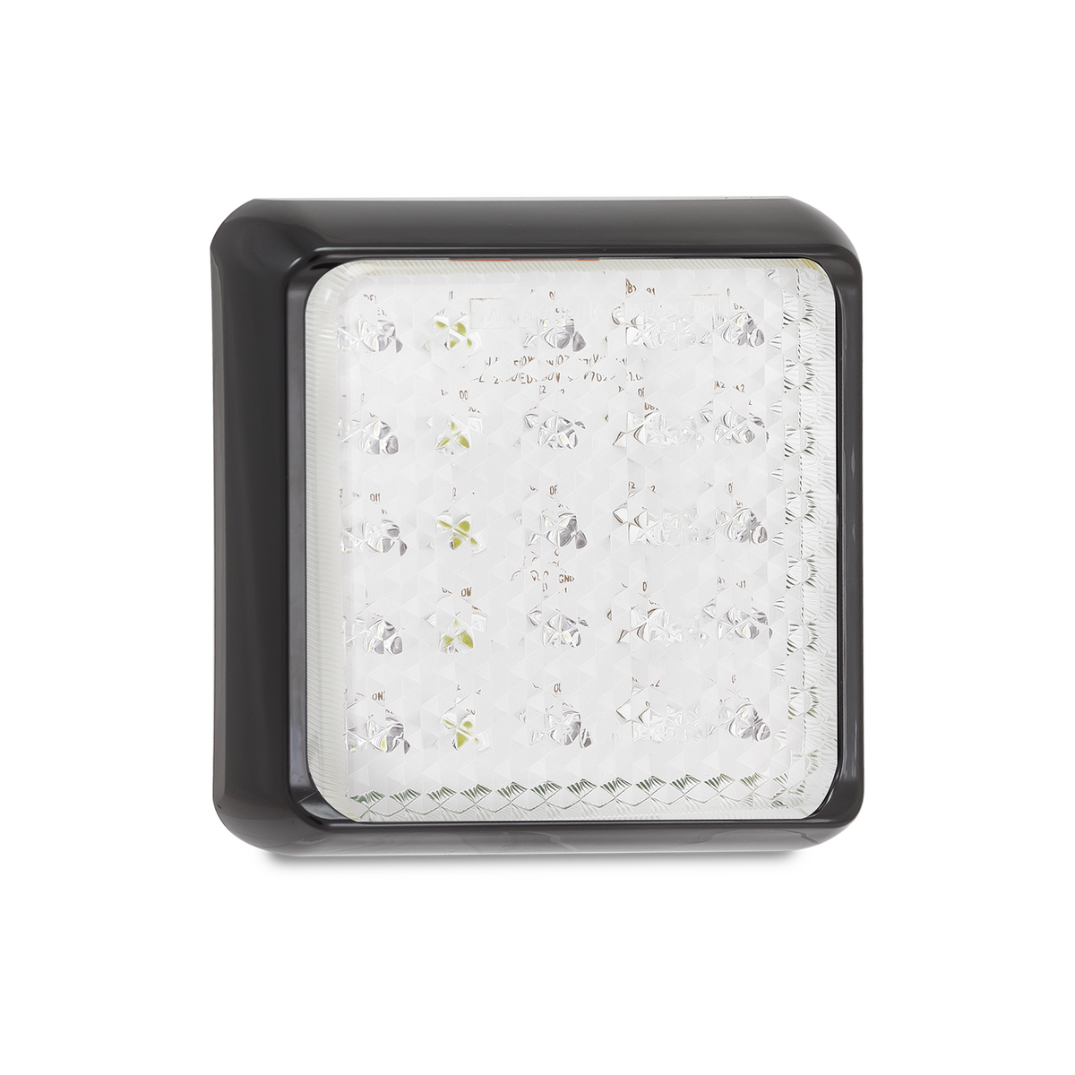 Reversing Lamps 100WM