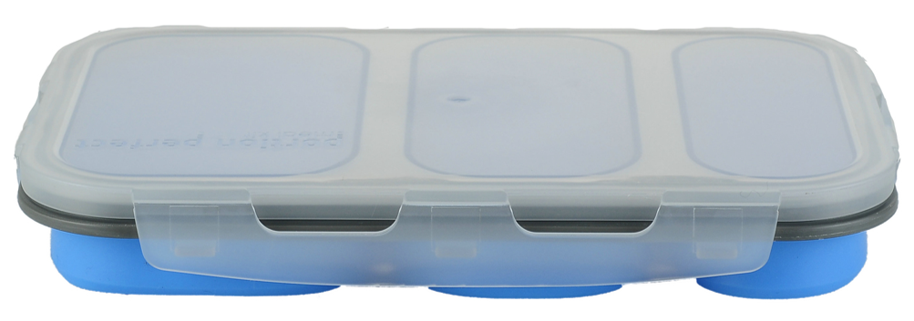 COLLAPSIBLE 3 COMPARTMENT STORAGE CONTAINER