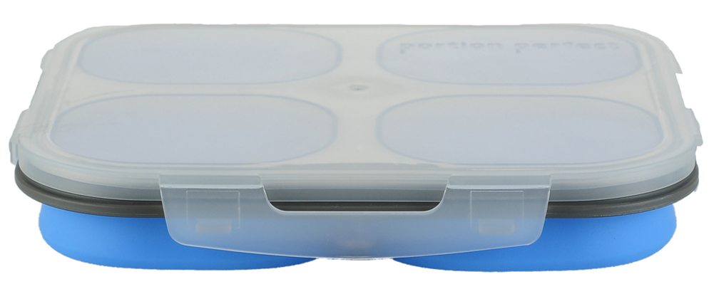 COLLAPSIBLE 4 COMPARTMENT STORAGE CONTAINER