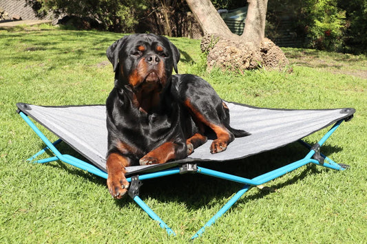 Navigator Dog Bed - Large