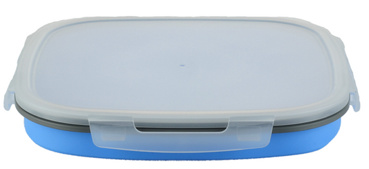 COLLAPSIBLE SILICONE CAKE STORAGE CONTAINER