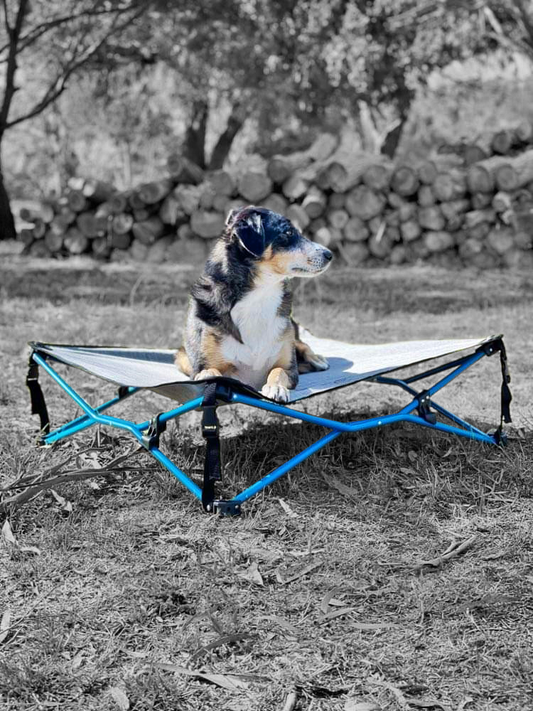 NAVIGATOR DOG BED