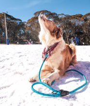 Load image into Gallery viewer, NAVIGATOR DOG LEASH BUDDY
