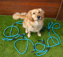 Load image into Gallery viewer, NAVIGATOR DOG LEASH BUDDY

