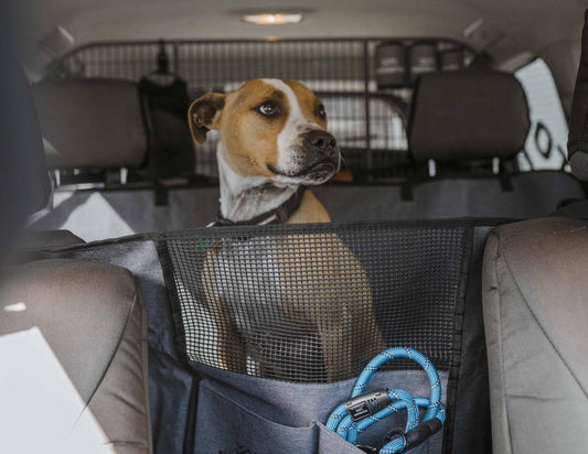 NAVIGATOR DOG SEAT BUDDY TRAVEL COMBO WITH BONUS DOG LEAD